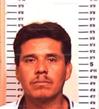 Jose Luz Ortiz