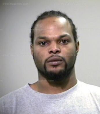 Ketun Ajaa Reese