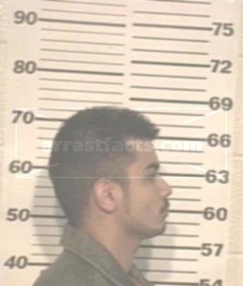 Roy David Montiel