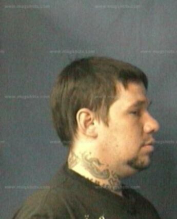 Matthew B Vogt