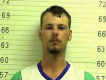 David B Qualls