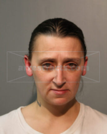 Michelle L Warcholik