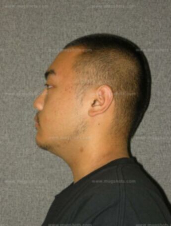 Suav Vang