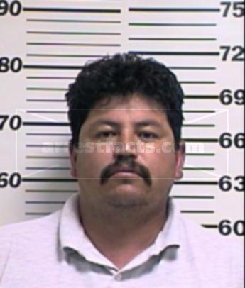 Gonzalo Briseno Pena