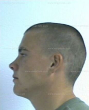 Briceton Trace Hollander