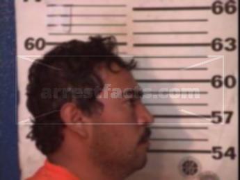 Hector Picaso Salas