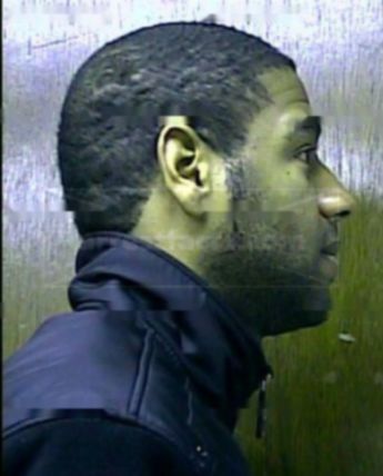 Quade L Colbert