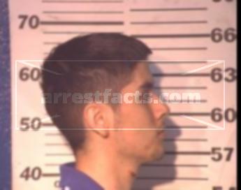 Marcelino Ii Rocha Vela