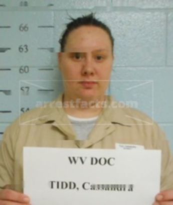 Cassandra Jo Tidd