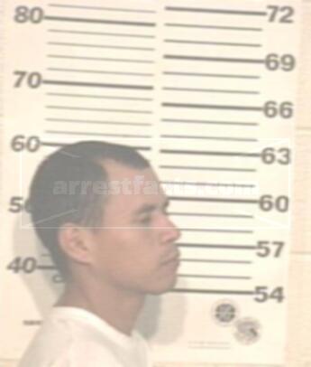 Jesus Mendoza Guerrero