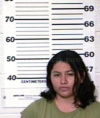 Dora Elvira De Leon Castanos