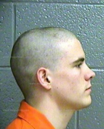 Briceton Trace Hollander
