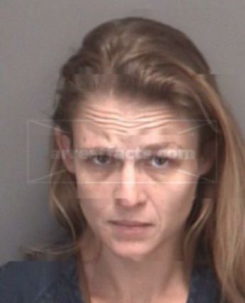 Christine R Sandlin