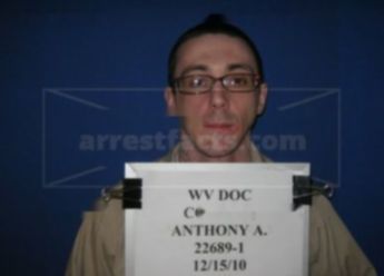 Anthony A Collins