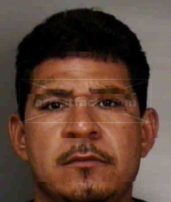 Rogelio Mendoza Gonzalez