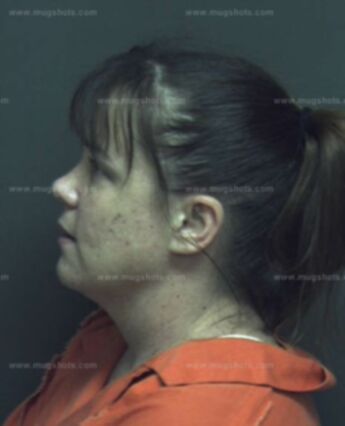 Renee L Mclemore