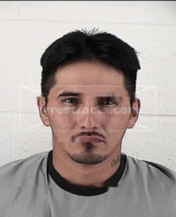 Andrew Ortega