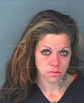 Daisy Lynne Brackett