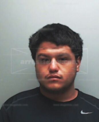 Maximo Falcon Trejo
