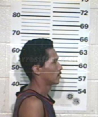 David Solis Leos