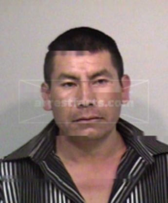 Maximo T Martinez