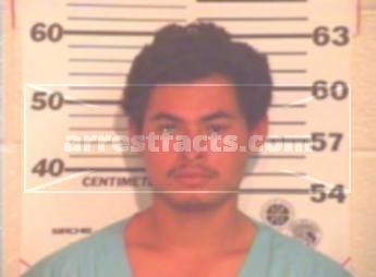 Carlos Andres Mendez Chacon