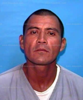 Carlos T Perez