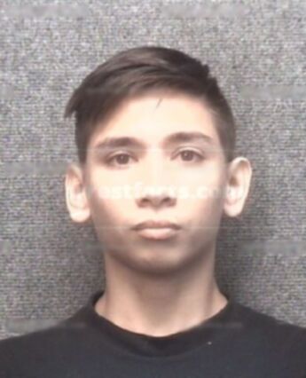 Austin Trinh
