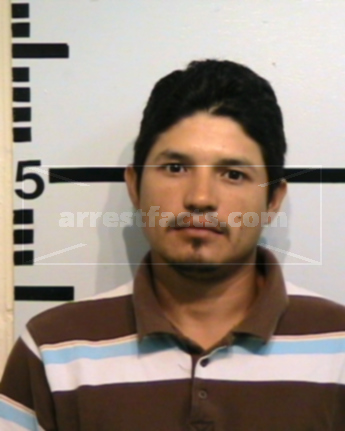Michael Pena Flores