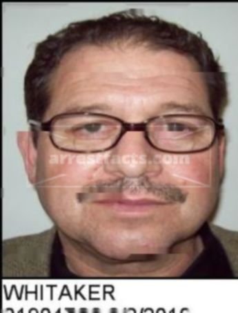 Joseph Terrizzi Whitaker Iii