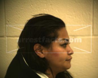 Nieves Marie Carizal Mireles