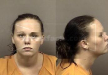 Holleigh Christine Chaney