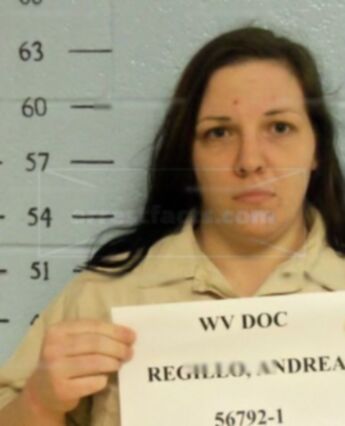 Andrea L Regillo