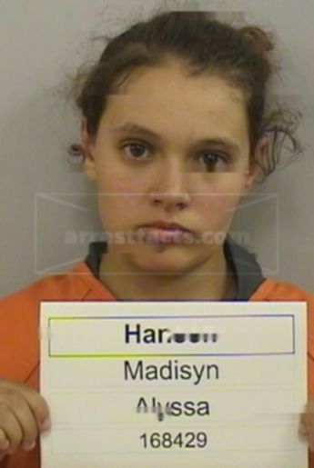 Madisyn Alyssa Hansen