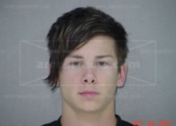 Andrew M Williams