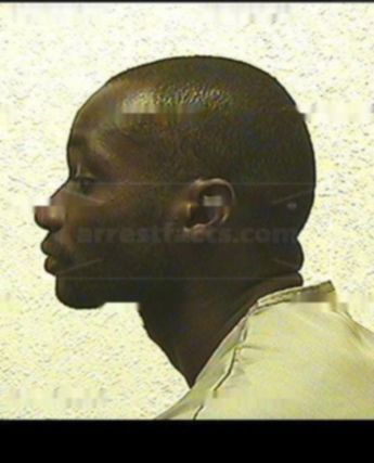 Terrance R Williams