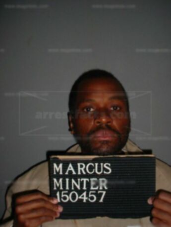 Marcus D Minter