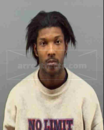 Mark Eric Watkins