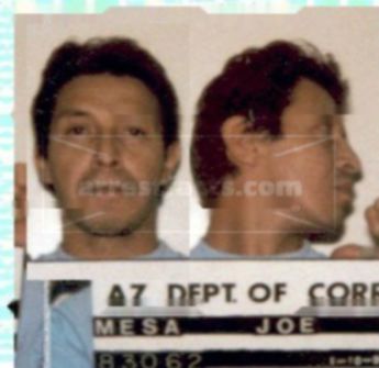 Joe M Mesa