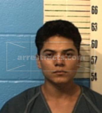 Pedro Gomez-Fonseca