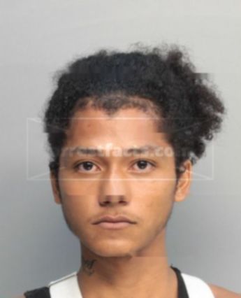 Delvin Puerto