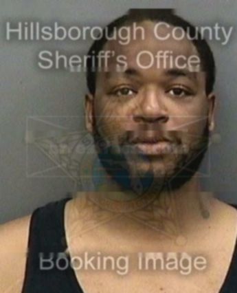 Steve Nicholas Lott