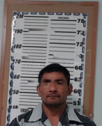 Carlos Castillo-Alvarado