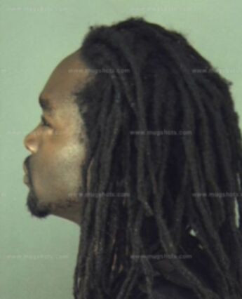 Theodore Lee Brown Jr.