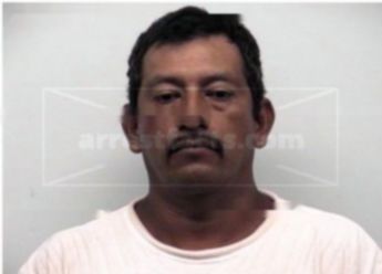 Luis P Martinez