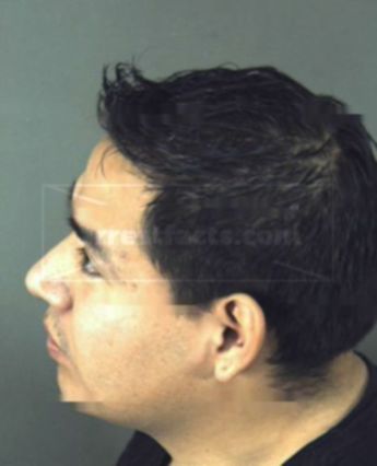 Pichardo Araiza