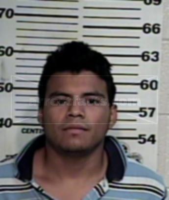 Gustavo Adolfo Flores Zecena