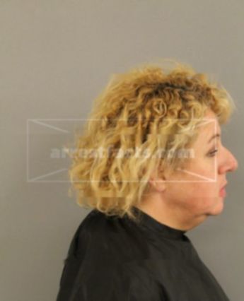 Theresa Ann Gibbs
