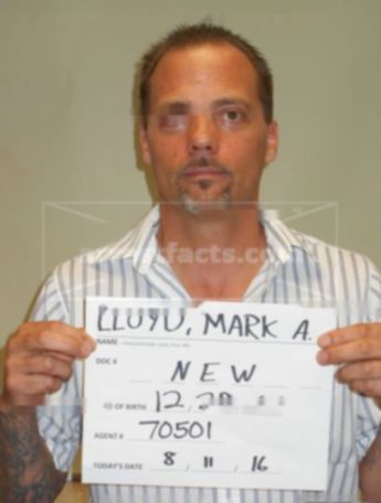 Mark A Lloyd