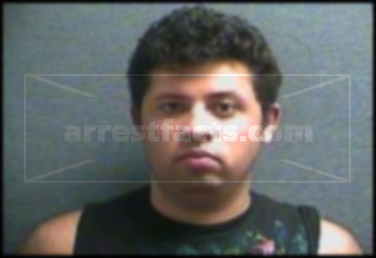 Aaron Michael Hicks